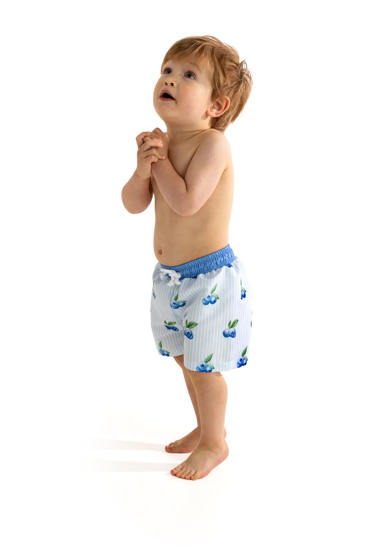 Blueberries Boys Swim Trunks