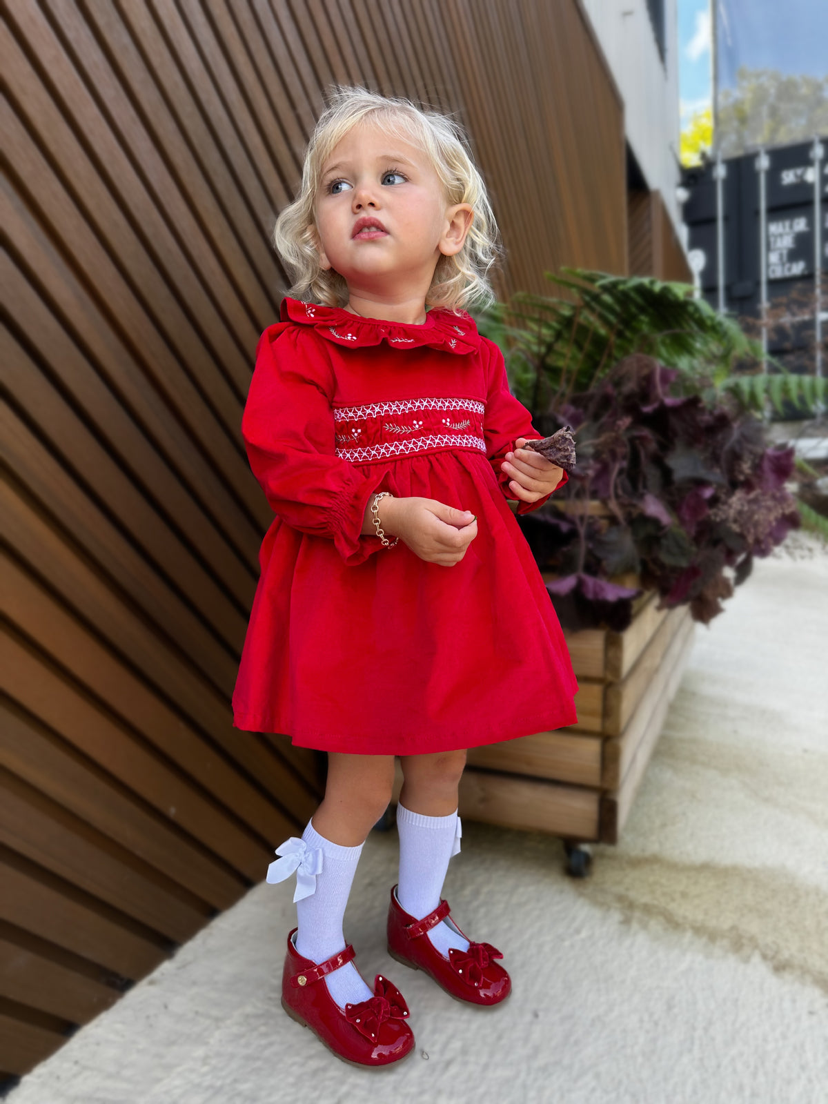 Red Velvet Dress