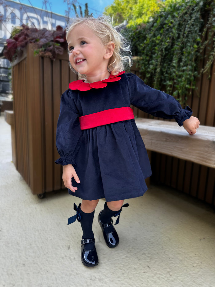 Navy & Red Velvet Dress